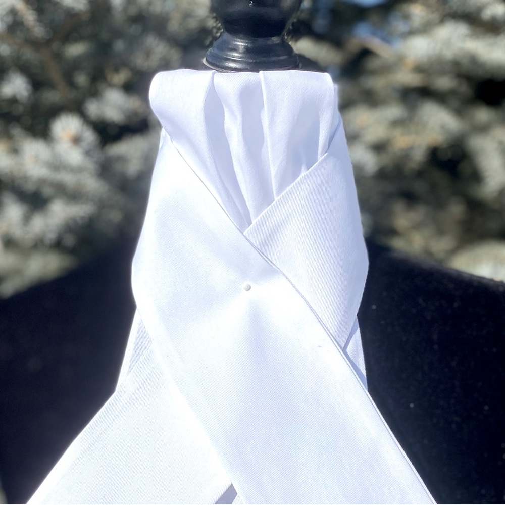 Pretied Equestrian Stock Tie White